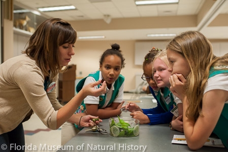 girl scouts learn about butterfly stages