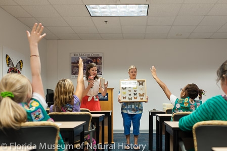 girl scouts learning about butterflies