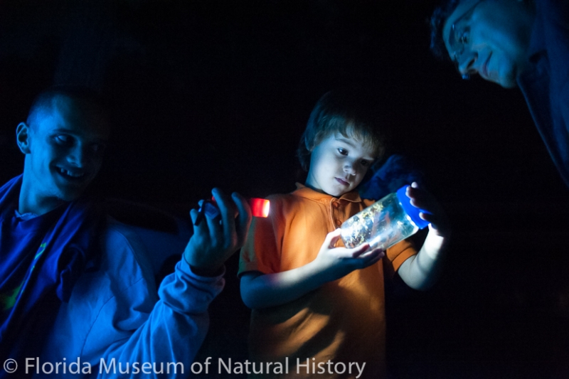 a young visitor examines a specimen in a jar