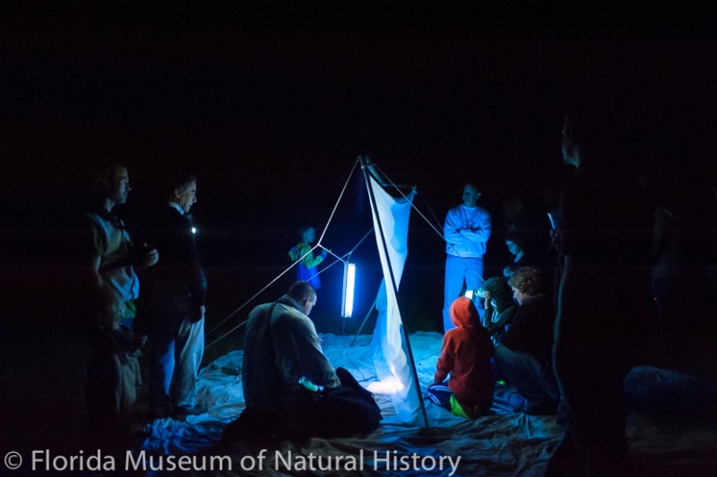 visitors standing around an illuminated sheet