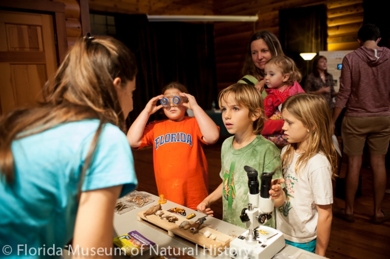 visitors learn about butterflies and moths