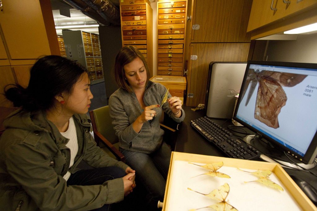 researchers examining specimens