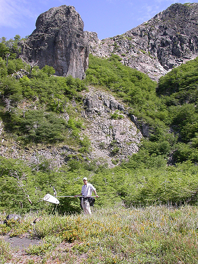 scientist holding a bug catching net at the base of a mountain