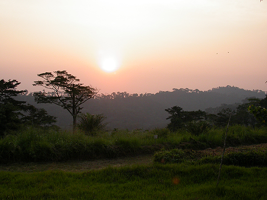 sunset in the Congo