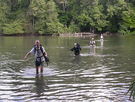 scientists crossing a river in Costa Rica