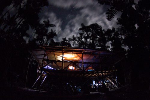 treehouse illuminated at night