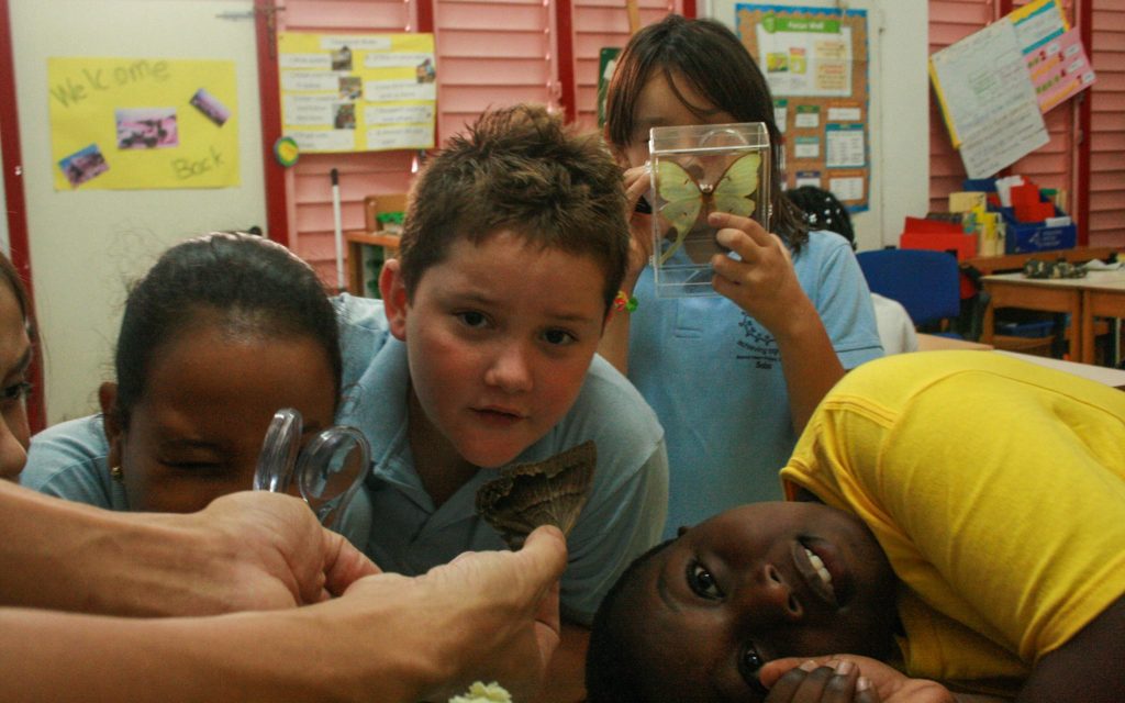 children examining moth and butterfly specimens