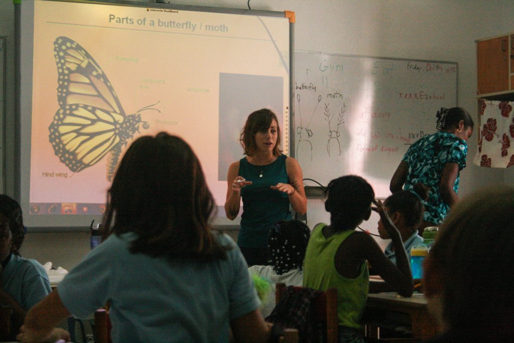 children learning about the parts of a butterfly