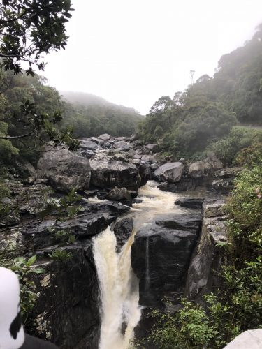 Madagascar_fieldwork