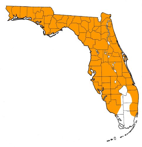 Florida map, barking treefrog