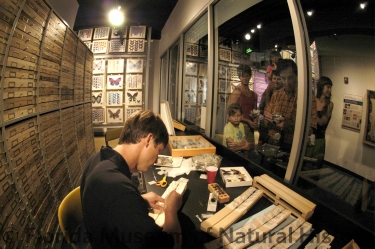 Andrei working in the collection