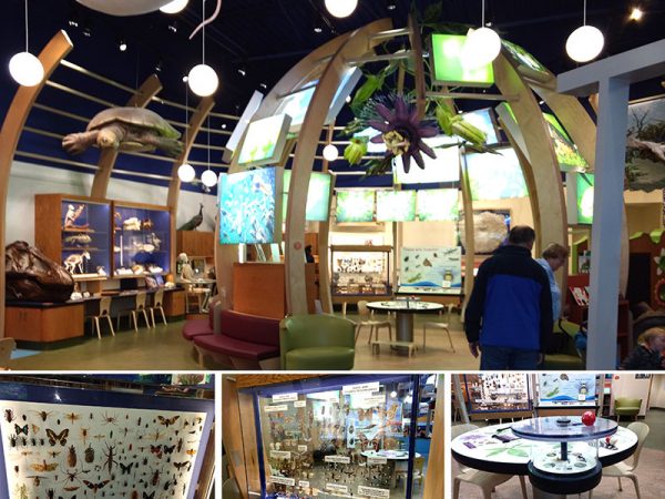 four images of final exhibit cases