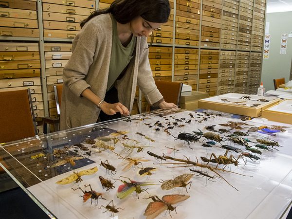 person dipping pins in glue