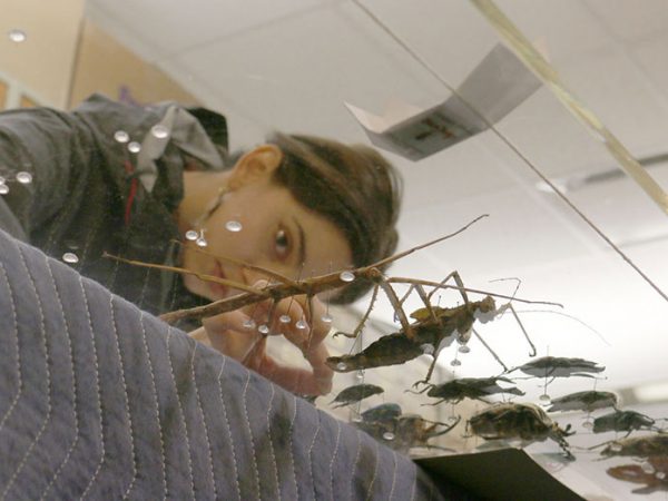 person sticking pins into glue dots