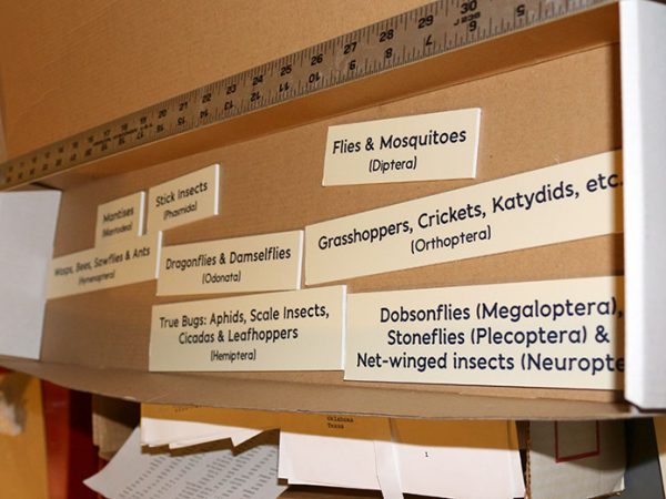 written labels ready for installation