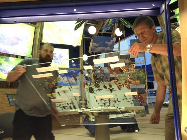 two people putting plexiglass in place