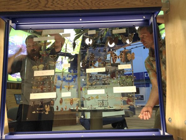 two people putting plexiglass in place