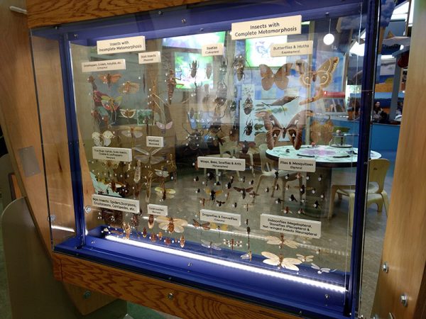 new case with lighting on