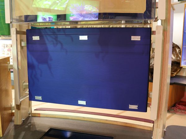 back of case showing mounts