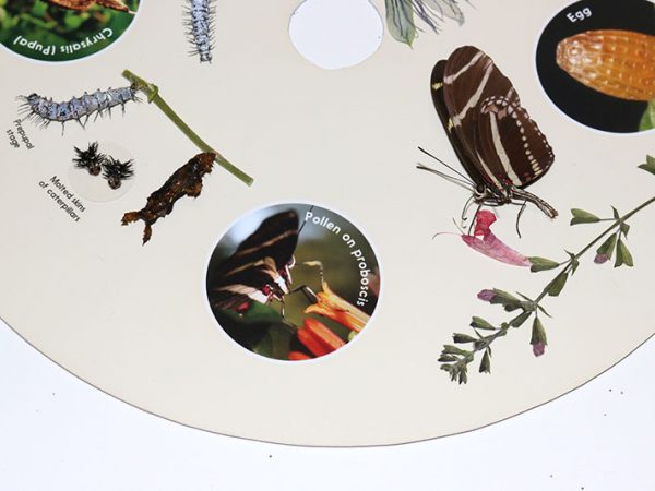 round exhibit panel
