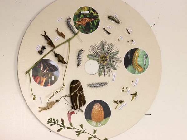 final round exhibit panel