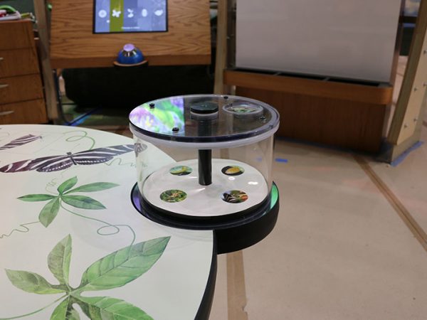 round clear display case