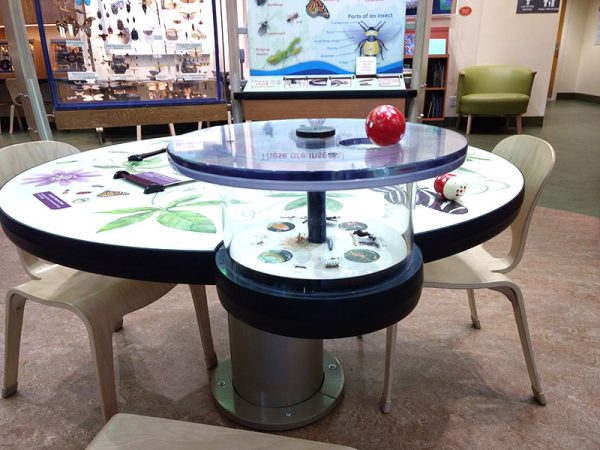 final exhibit display table