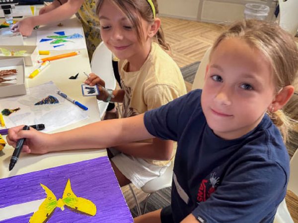 Participants creating beautiful art pieces based on moth specimens in front of them.
