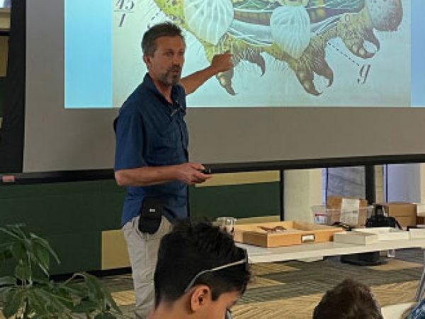 During the workshop, we covered not only diversity of moths, but also their anatomy and the secrets of their metamorphosis.