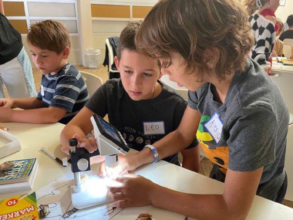 Inexpensive digital microscopes equipped with screens and lights can provide a great educational tool for moth workshops.