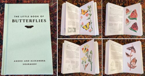little book of butterflies