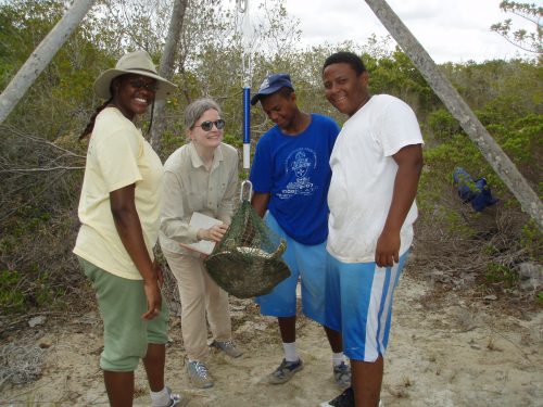 a group of four people surrounding a turtle in a net connected to a large scale 