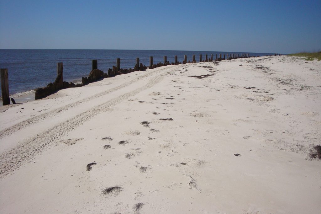 white sand beach