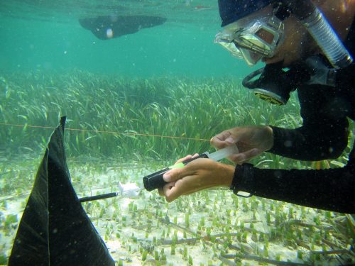 scientist in scuba gear holding a large syringe 