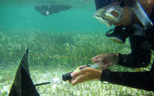 scientist in scuba gear holding a large syringe