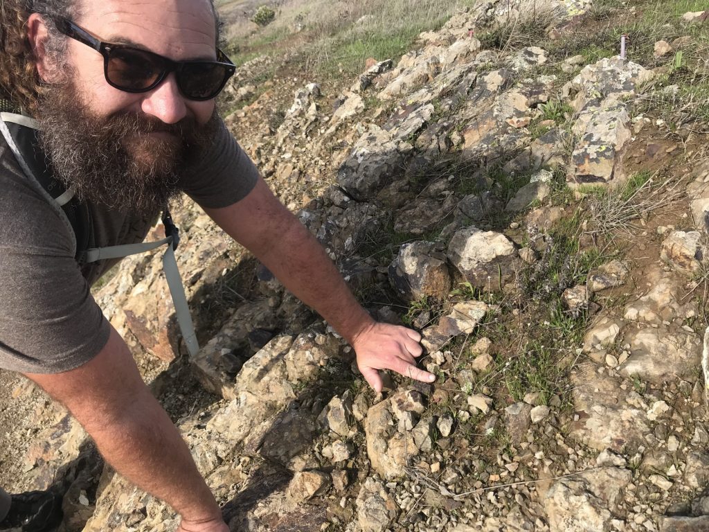 Chris Schwind of Creekside Science showing new lupines germinating in rocky soils on San Bruno Mountain, CA.