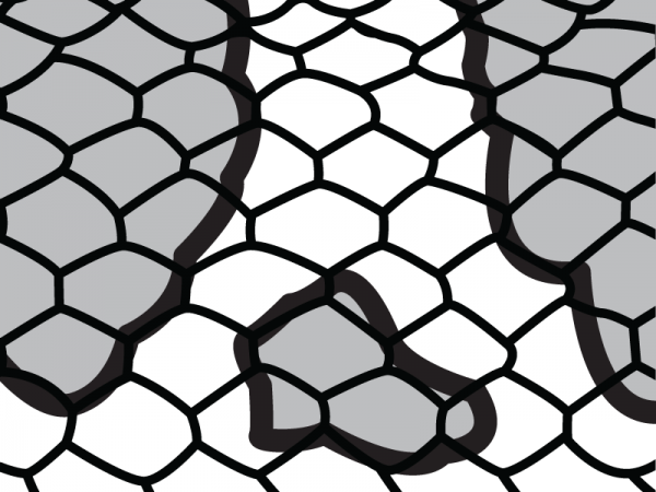 drawing of snake scales with blotched pattern