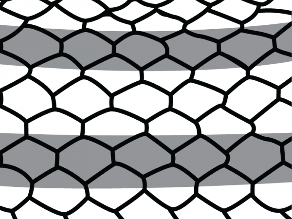 drawing of snake scales with stripe pattern