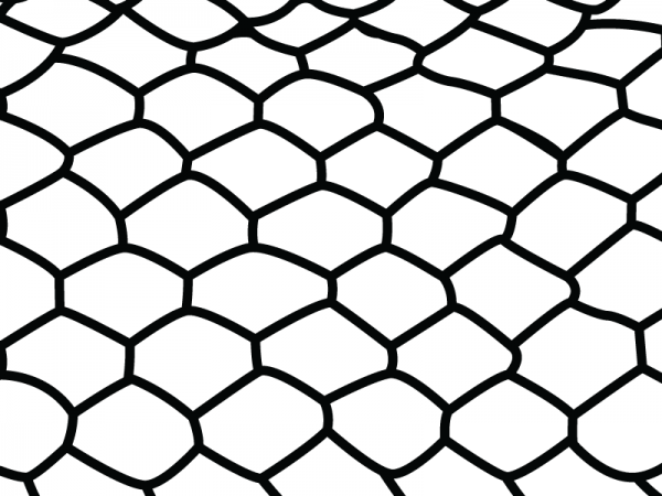 drawing of snake scales with uniform pattern