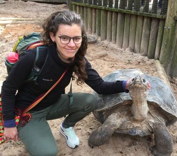 person kneeling next to a Tortoises