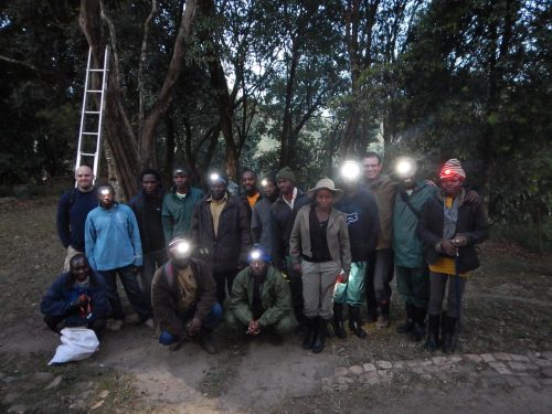 field team ready for a night of herping