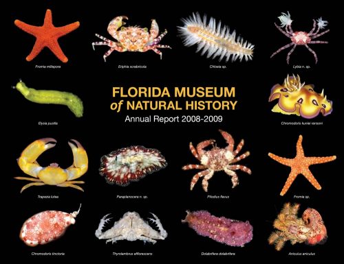 2021-2022 Annual Report  Florida Museum of Natural History