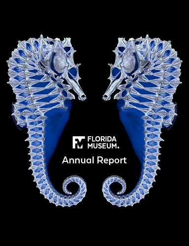 2019-2020 Annual Report cover