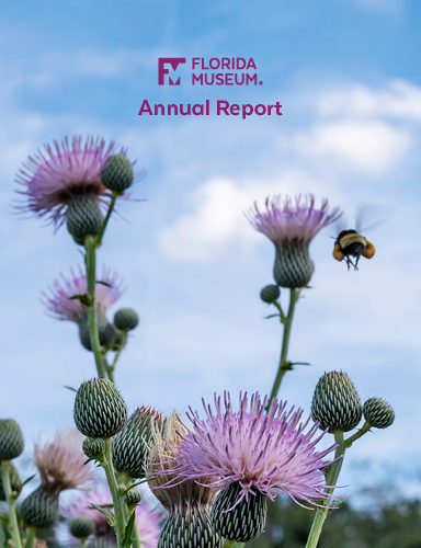 annual report cover with photo of bee flying towards a thistle