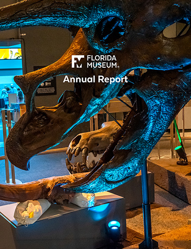 Florida Museum annual report cover 2021-2022 features triceratops skull with dramatic blue lighting in an exhibit display with other fossils