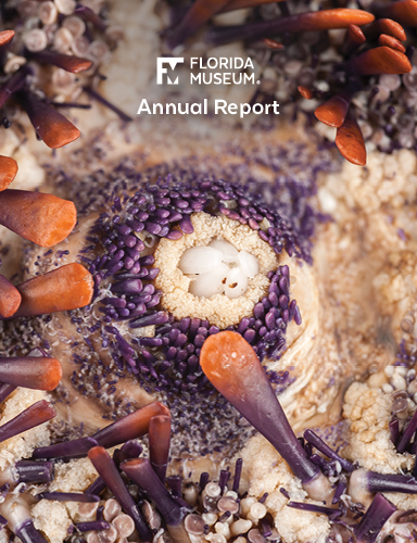 22-23 annual report cover featuring a pencil urchin