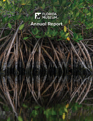 2024-2035 annual report cover photo with closeup of mangrove roots reflecting in water