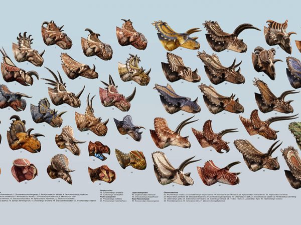 page covered in illustrations of many dinosaur heads