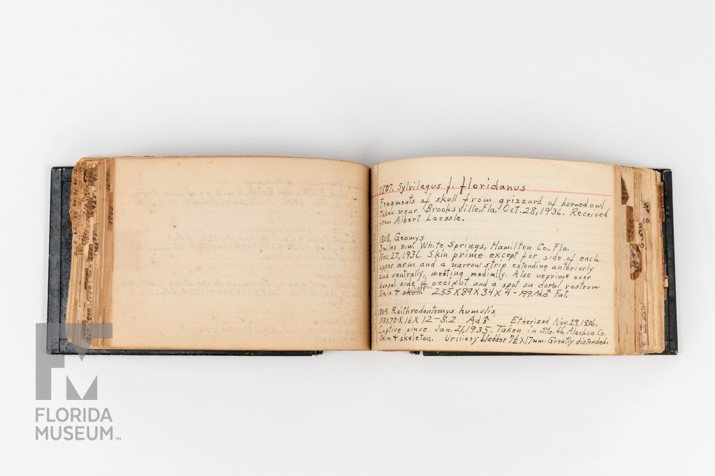 Harley B Sherman's collection journal