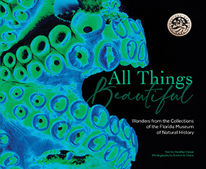 Cover of the All Things Beautiful book